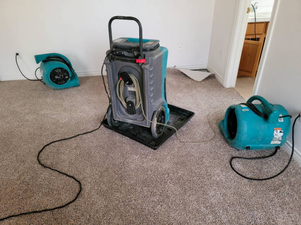 Best Water damage cleanup near me  in Sughter, LA