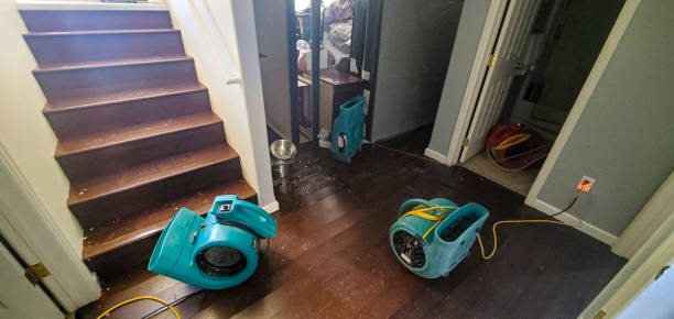 Water damage restoration mold remediation in Slaughter, LA