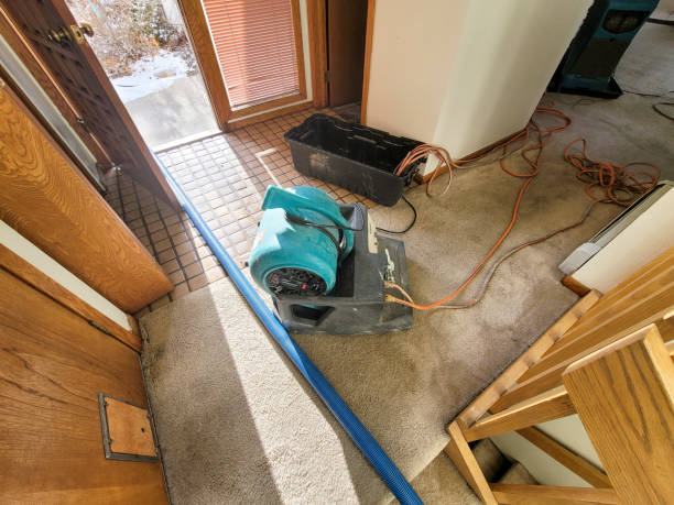 Best Residential water damage restoration  in Sughter, LA