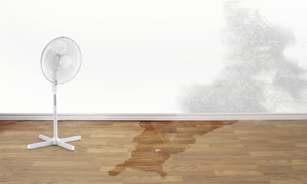 Best 24-hour water damage restoration  in Sughter, LA