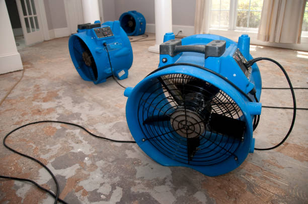 Reliable Slaughter, LA Water damage restoration Solutions