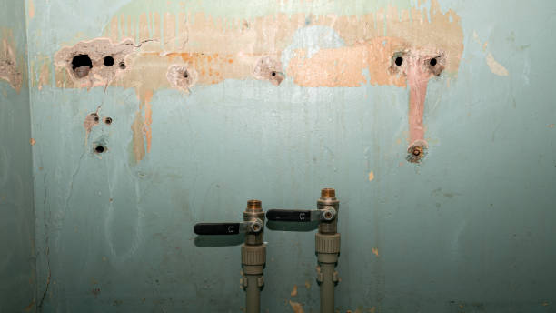 Best Water damage repair service  in Sughter, LA