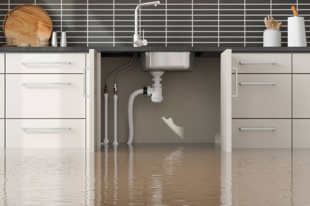 Best Water damage restoration mold remediation  in Sughter, LA