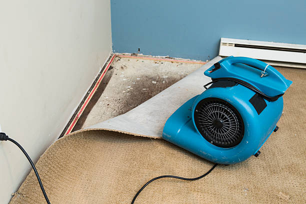 Best Commercial water damage restoration  in Sughter, LA